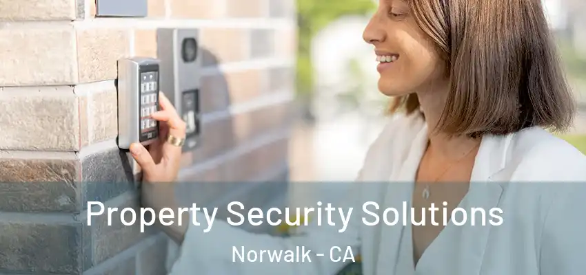  Property Security Solutions Norwalk - CA